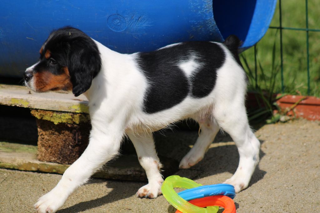 Vidoc De La Vallée De La Py