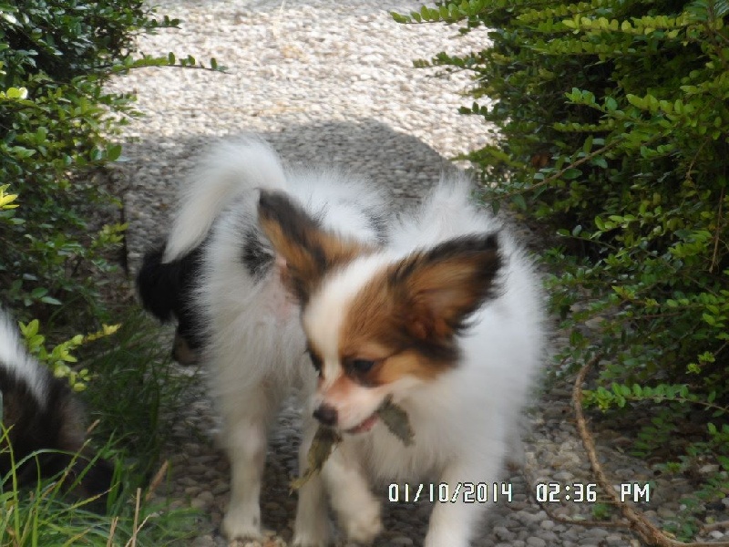 Jepp De La Vallée De La Py