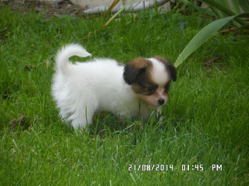 Jepp De La Vallée De La Py