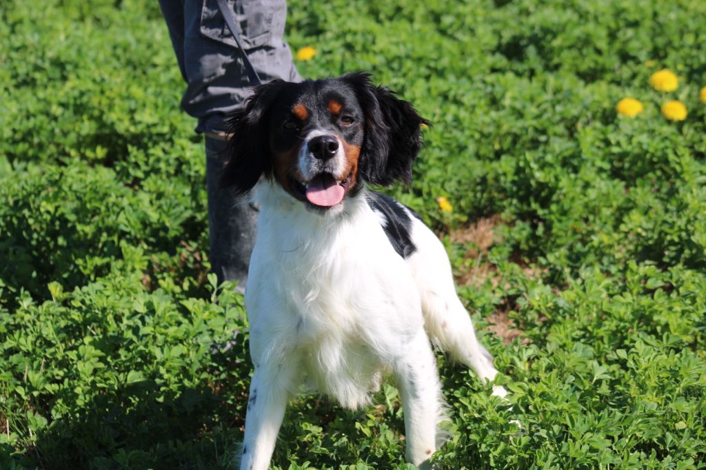 Vidoc De La Vallée De La Py