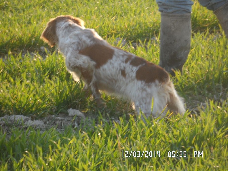 Hulma De La Vallée De La Py