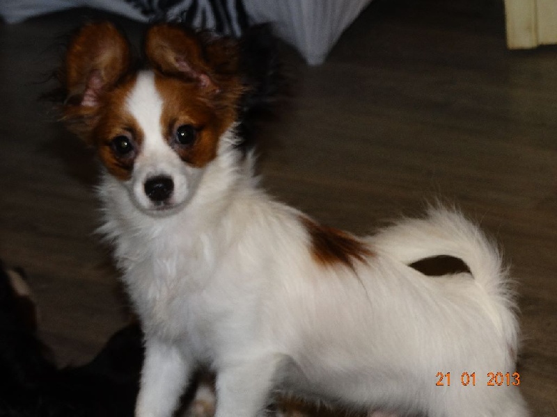 Jepp De La Vallée De La Py