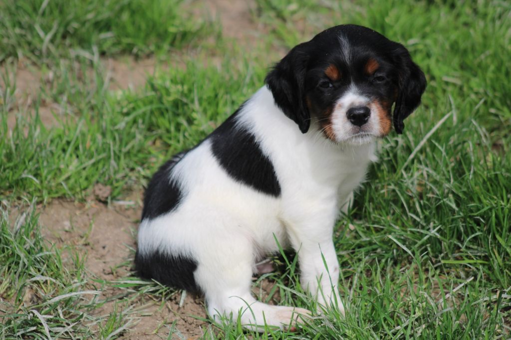 Vidoc De La Vallée De La Py