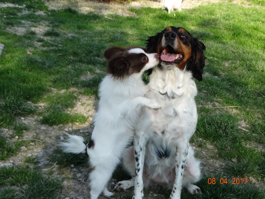 Mirabelle De La Vallée De La Py