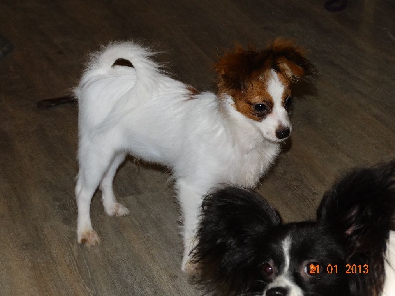 Jepp De La Vallée De La Py