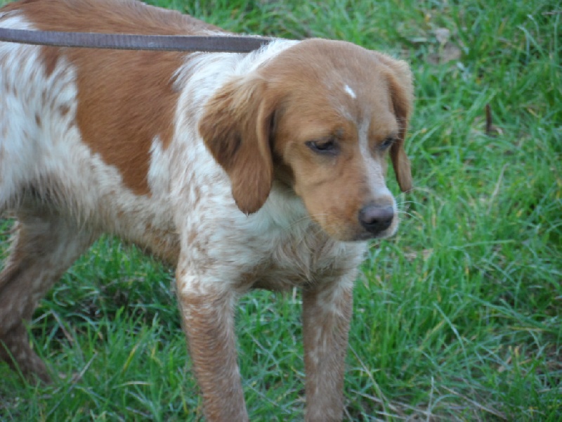 Hulma De La Vallée De La Py