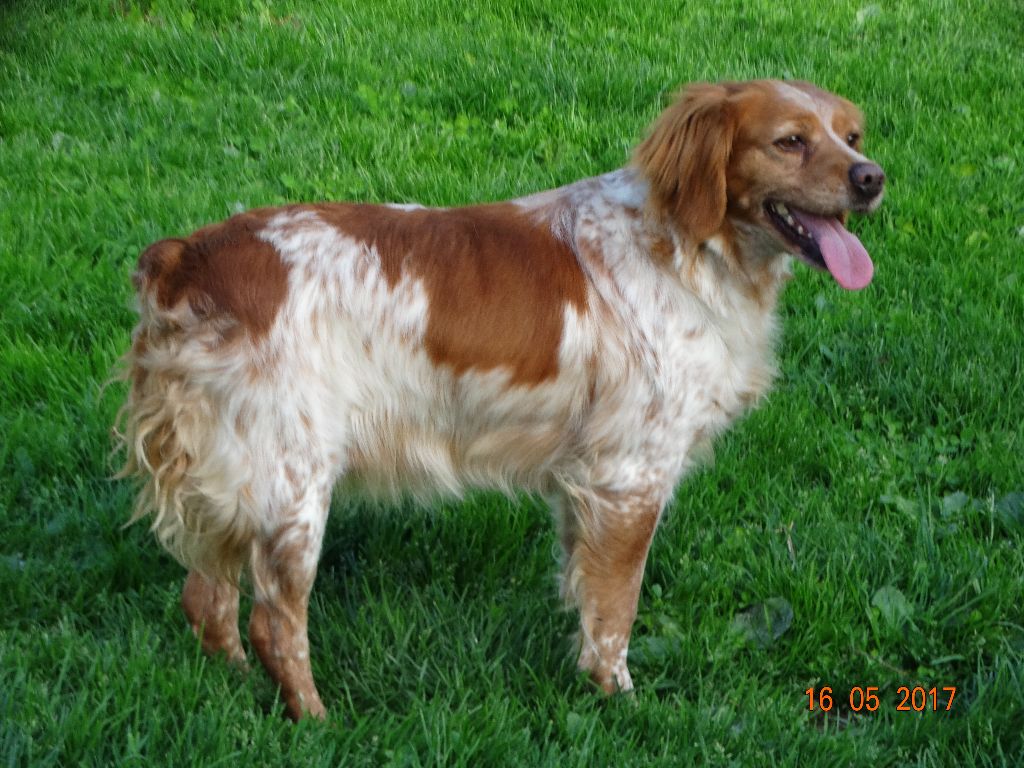 Hulma De La Vallée De La Py