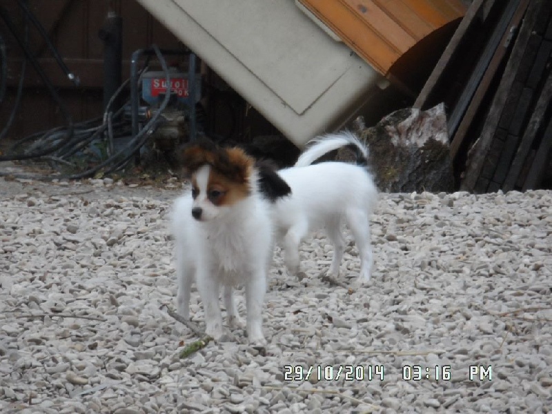 Jepp De La Vallée De La Py