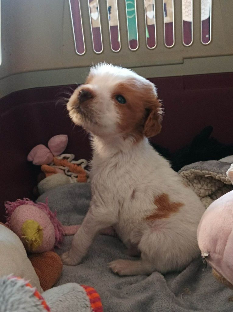 Tcho De La Vallée De La Py