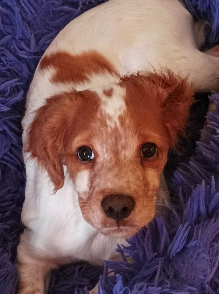 Tcho De La Vallée De La Py