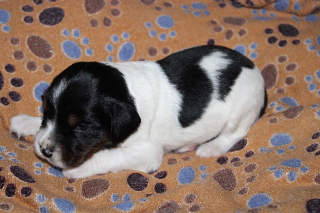 Vidoc De La Vallée De La Py