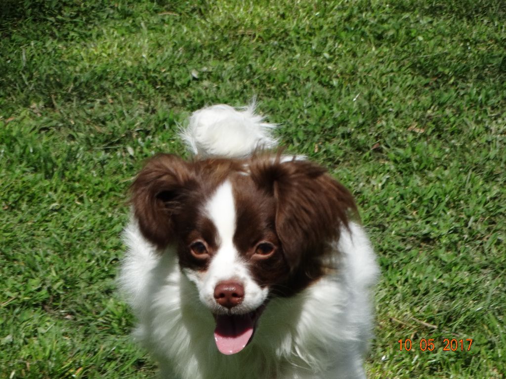 Mirabelle De La Vallée De La Py