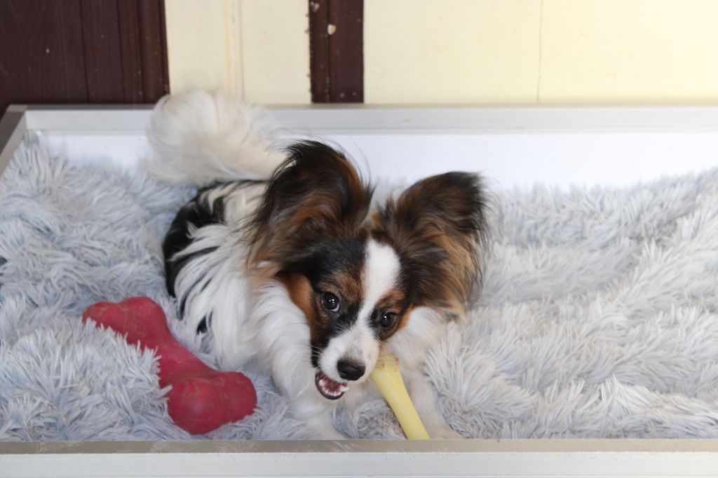 Ricky De La Vallée De La Py