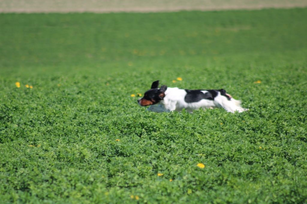 Vidoc De La Vallée De La Py