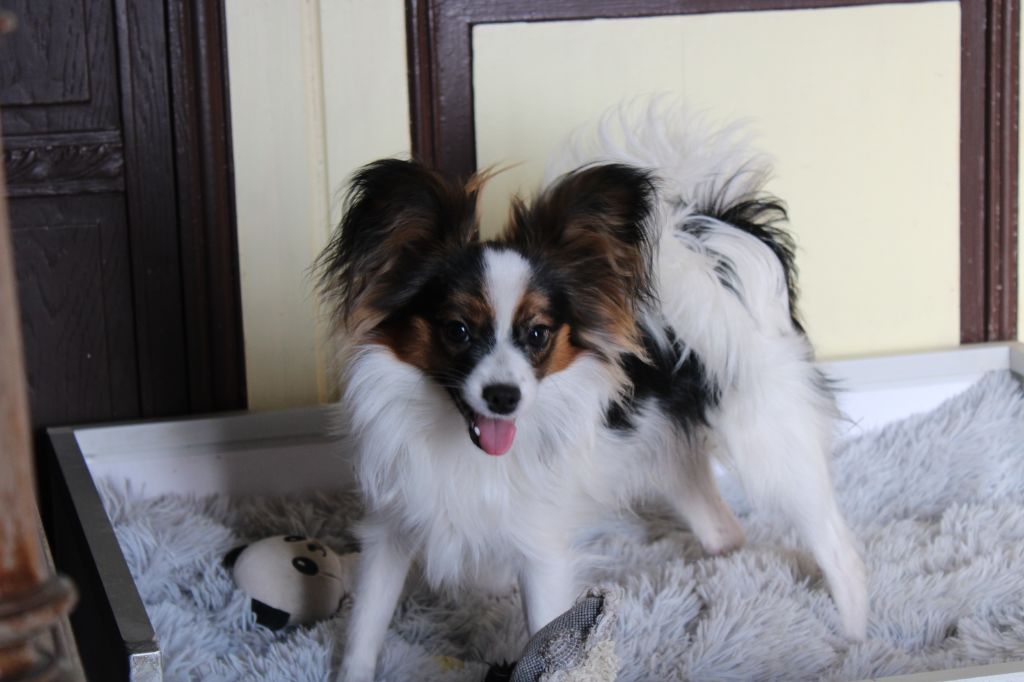 Ricky De La Vallée De La Py