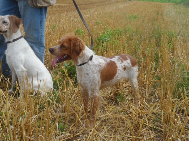 Hulma De La Vallée De La Py