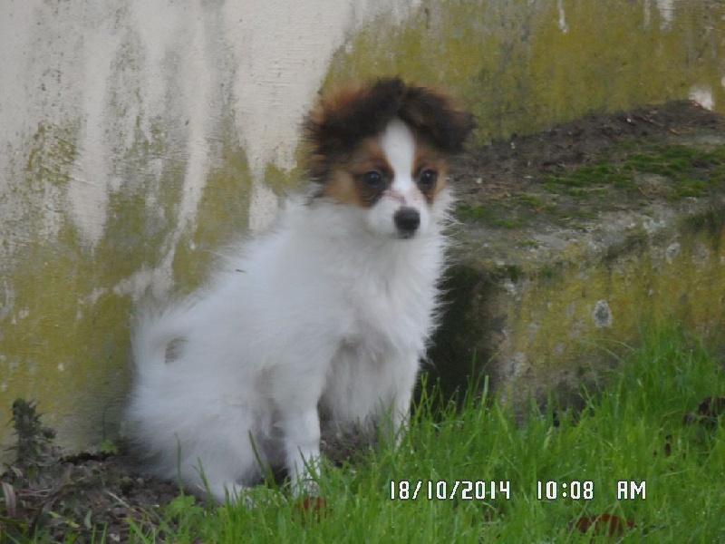 Jepp De La Vallée De La Py