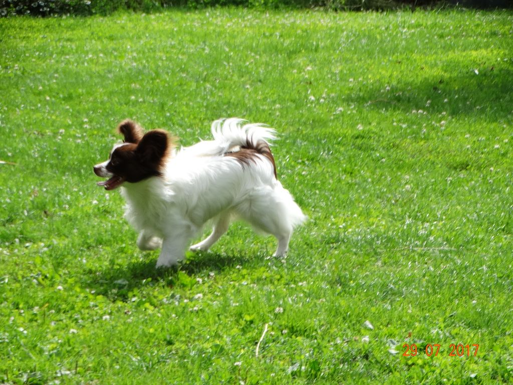 Mirabelle De La Vallée De La Py