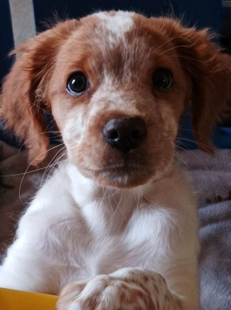 Tcho De La Vallée De La Py