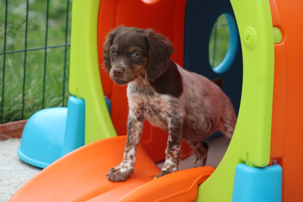 Toto De La Vallée De La Py