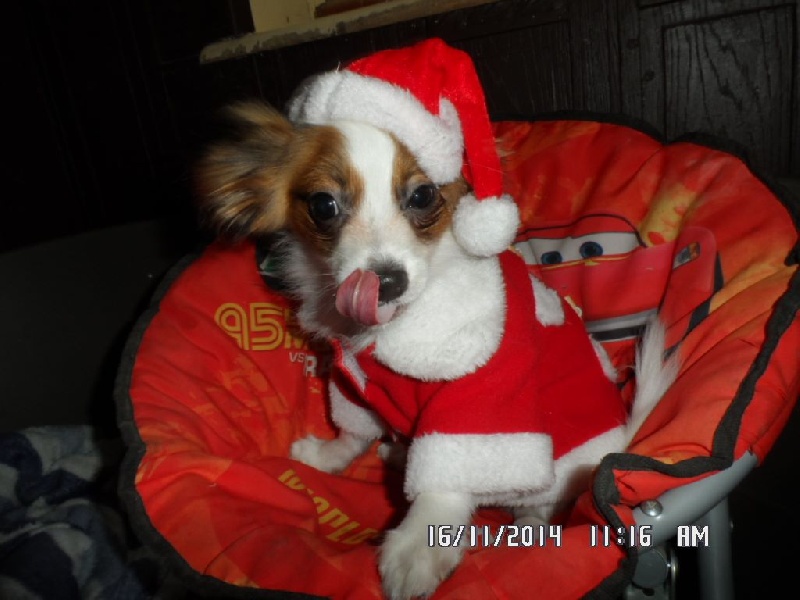 Jepp De La Vallée De La Py