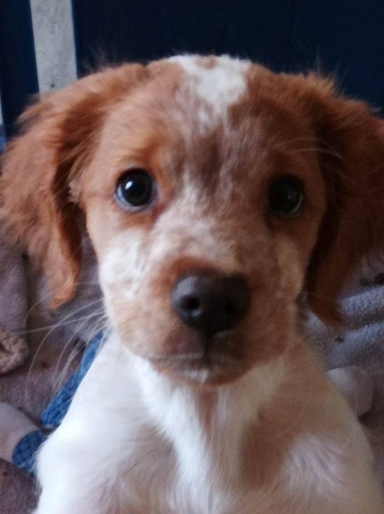 Tcho De La Vallée De La Py