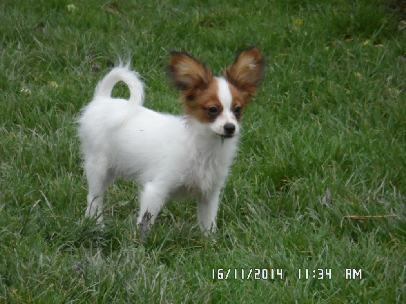 Jepp De La Vallée De La Py