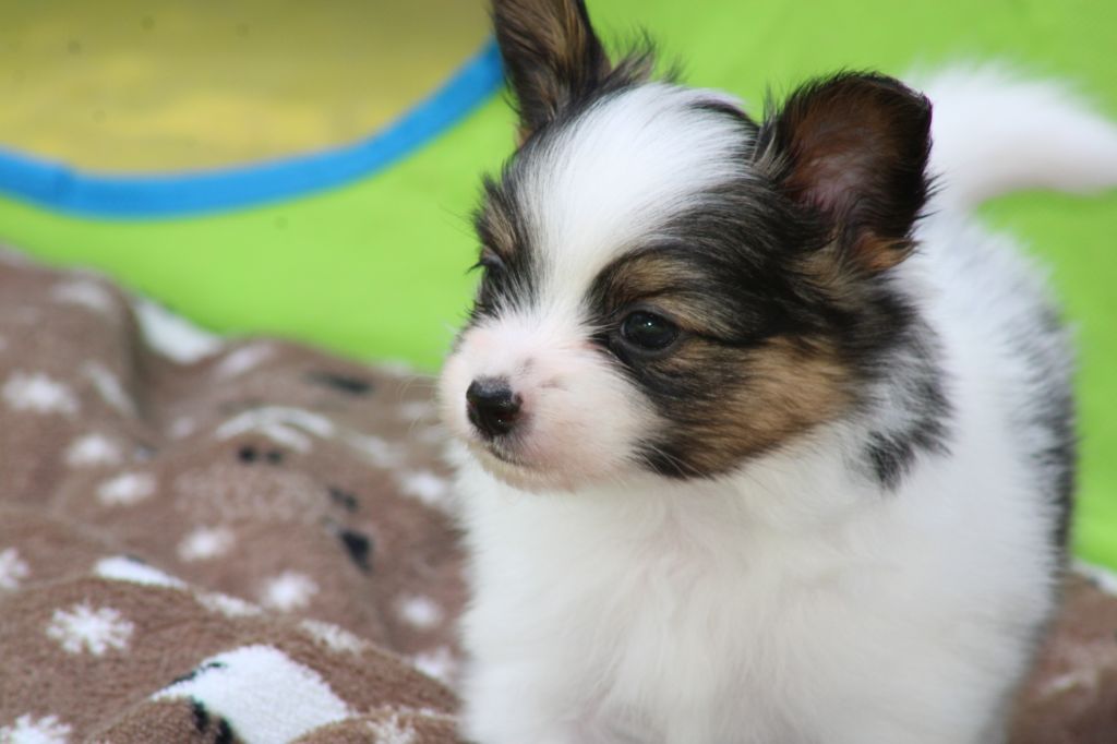 Ricky De La Vallée De La Py