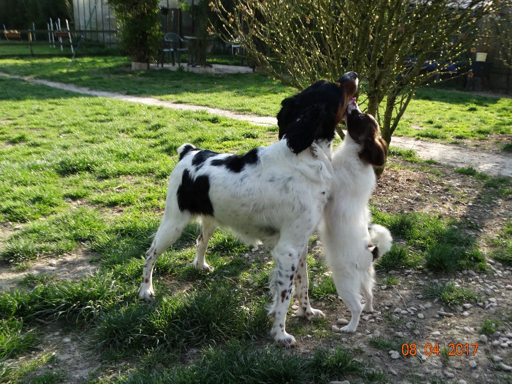 Mirabelle De La Vallée De La Py