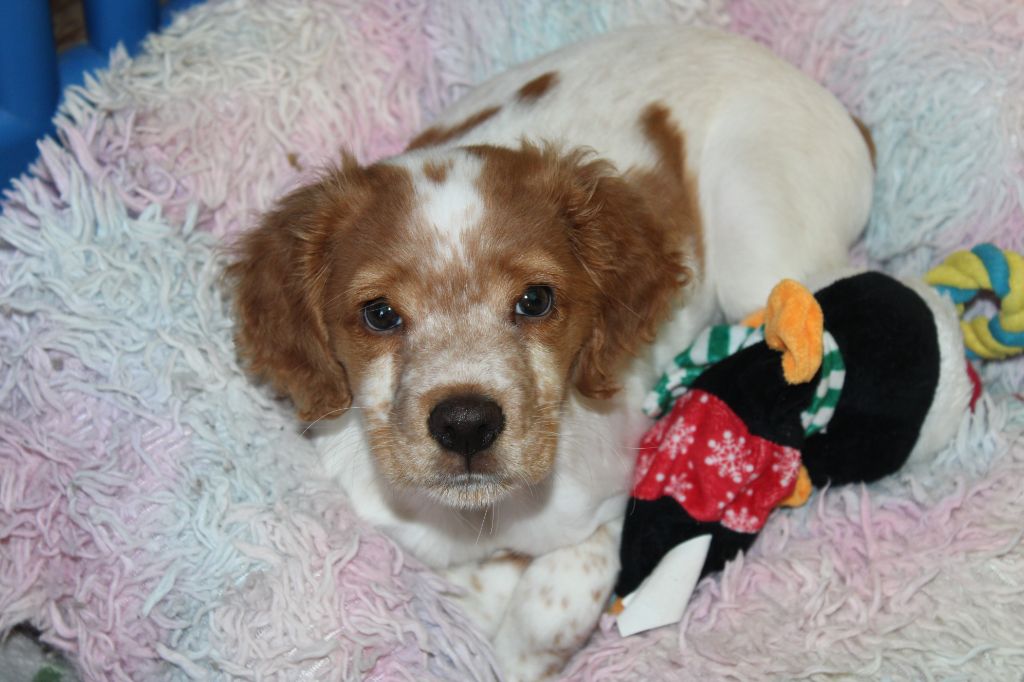 Tcho De La Vallée De La Py