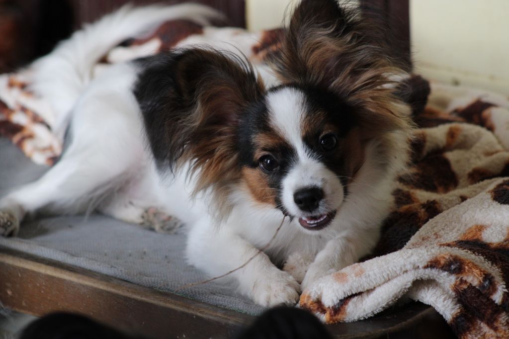 Ricky De La Vallée De La Py