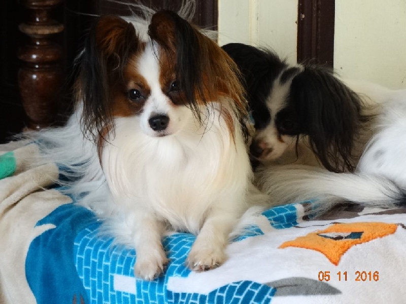 Jepp De La Vallée De La Py