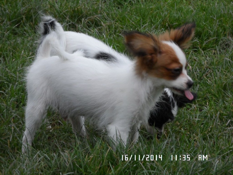 Jepp De La Vallée De La Py