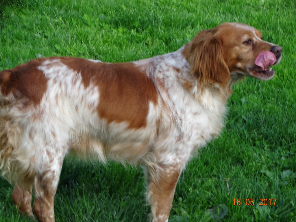 Hulma De La Vallée De La Py