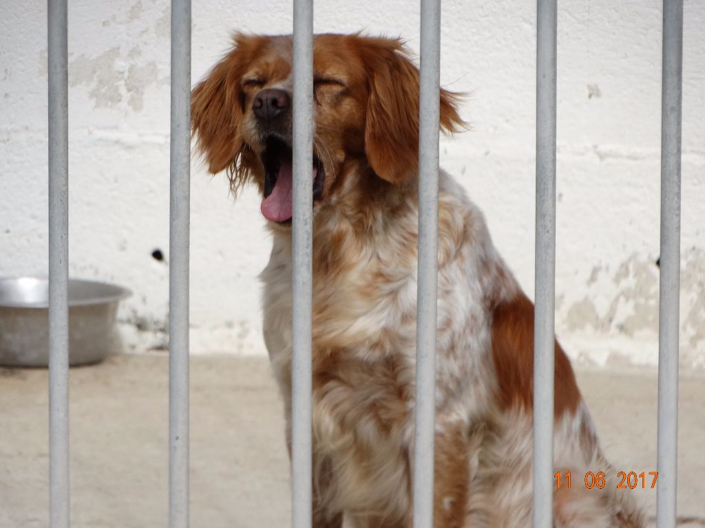 Hulma De La Vallée De La Py