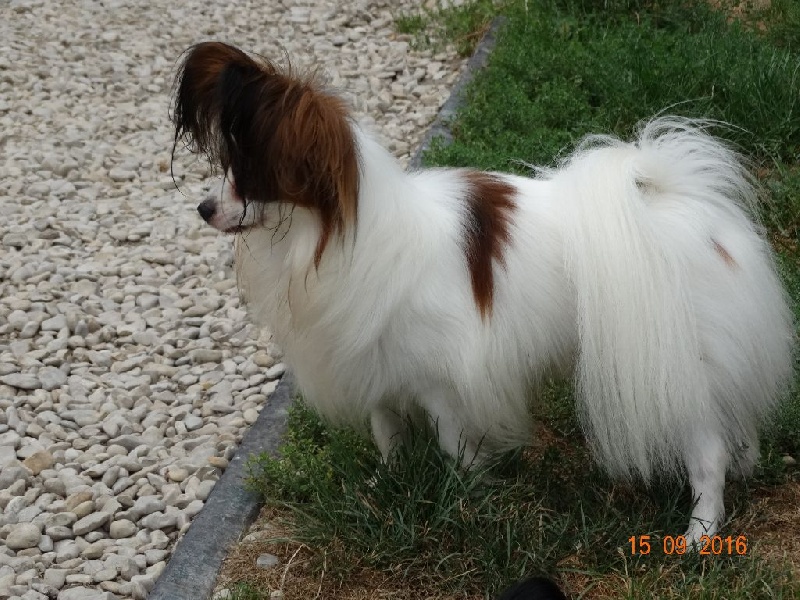 Jepp De La Vallée De La Py