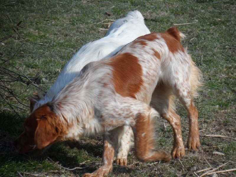 Hulma De La Vallée De La Py