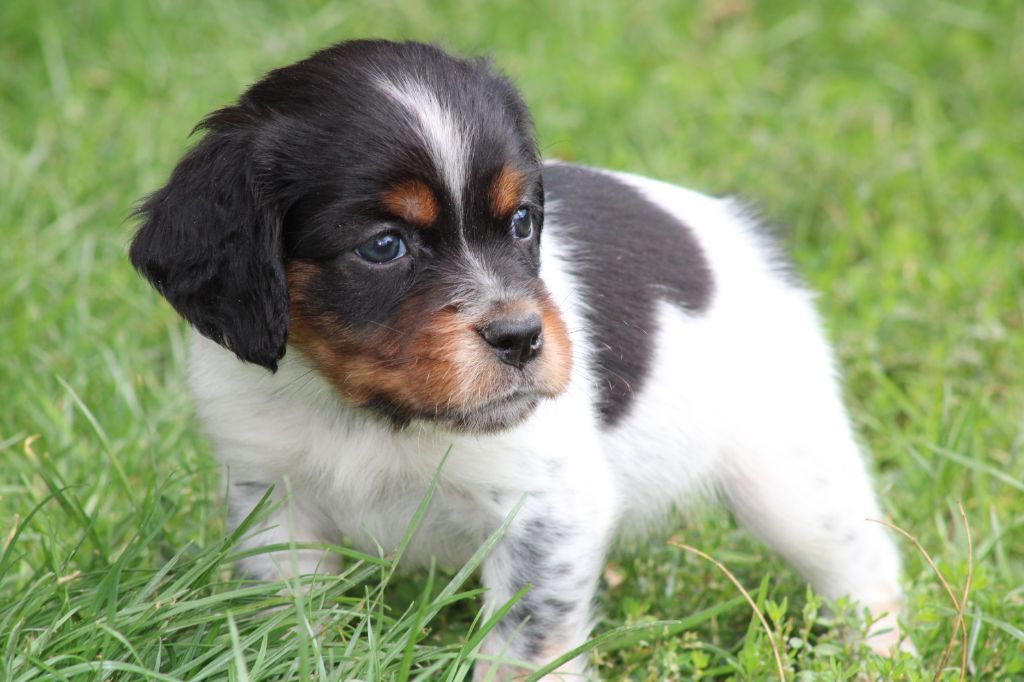 Publication : De La Vallée De La Py