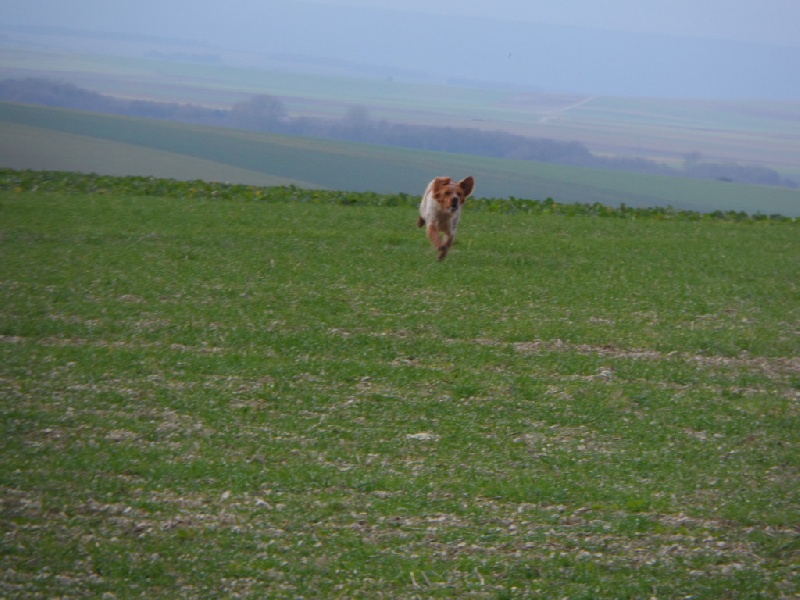 Hulma De La Vallée De La Py