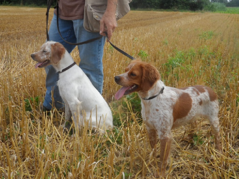 Hulma De La Vallée De La Py