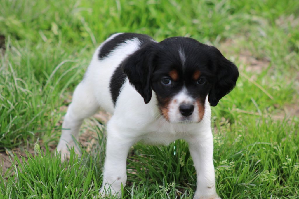 Vidoc De La Vallée De La Py