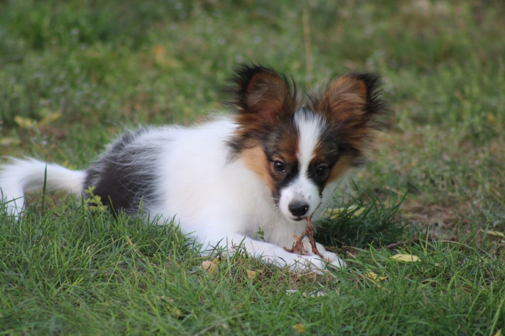 Ricky De La Vallée De La Py