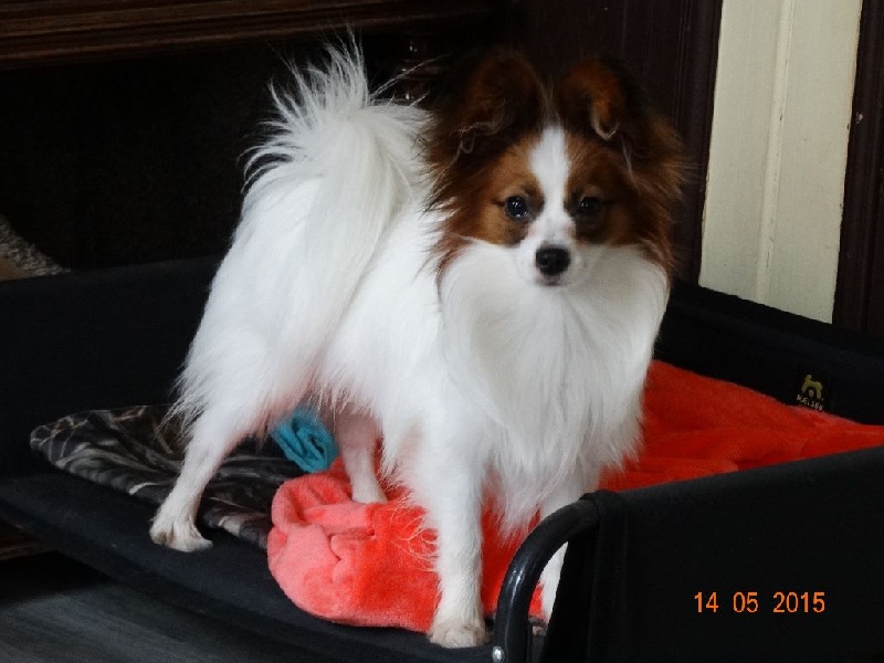 Jepp De La Vallée De La Py