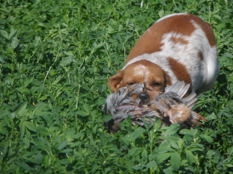 Hulma De La Vallée De La Py