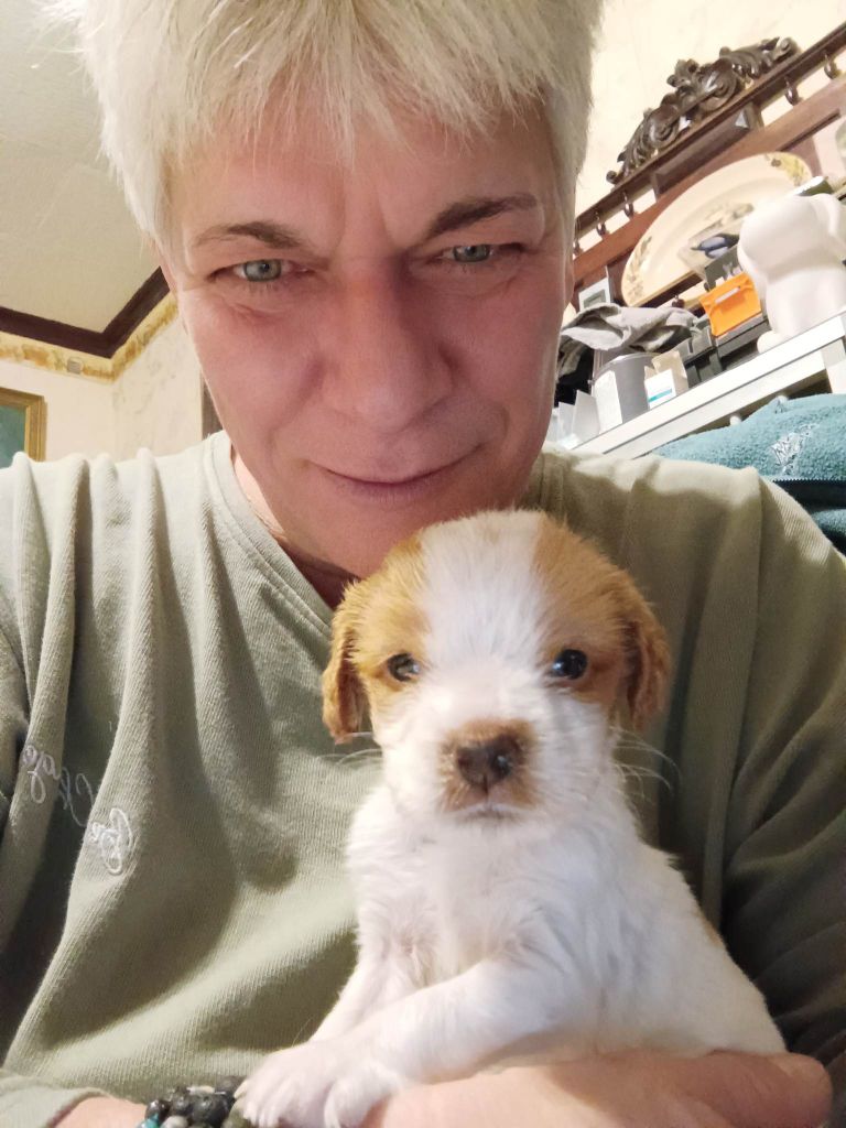 Tcho De La Vallée De La Py