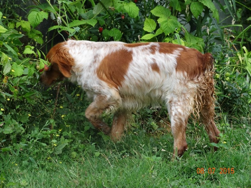 Hulma De La Vallée De La Py