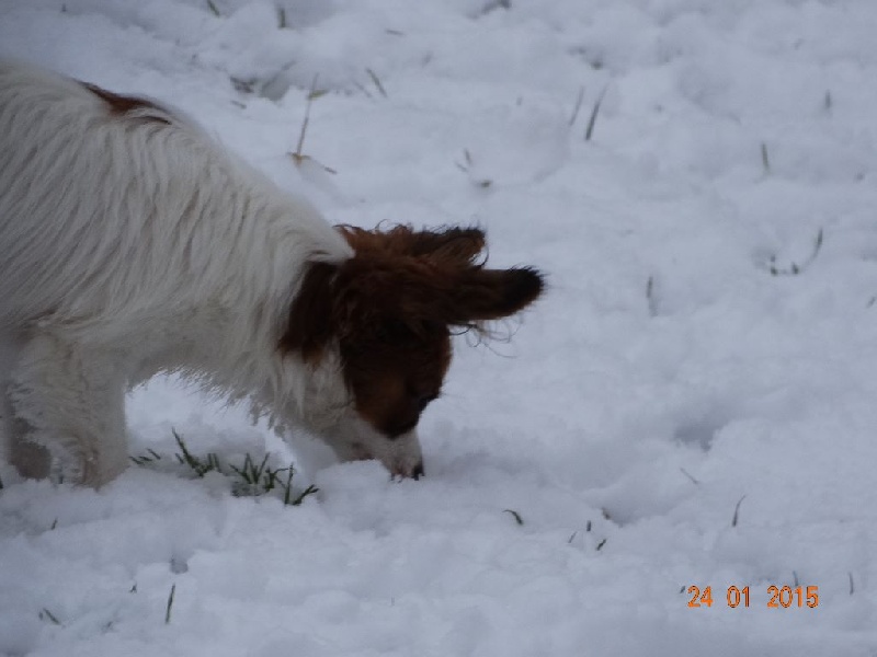 Jepp De La Vallée De La Py