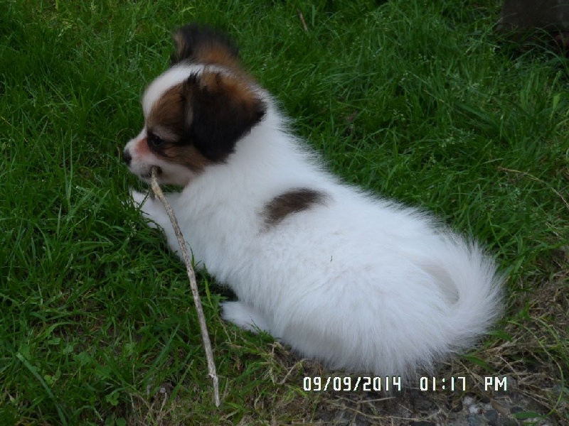 Jepp De La Vallée De La Py