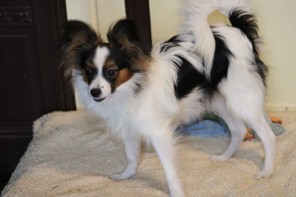 Ricky De La Vallée De La Py