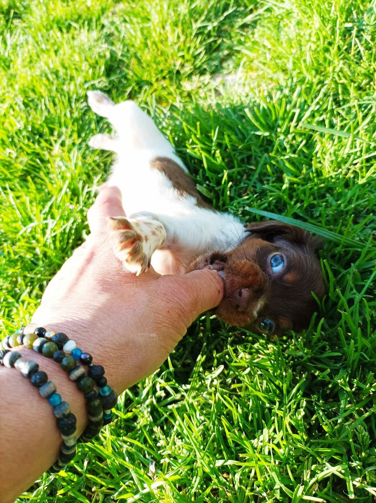 Toto De La Vallée De La Py